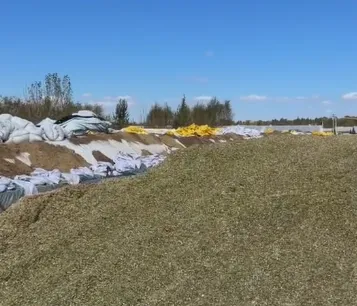 ¿Cómo construir un pozo de ensilaje duradero para el almacenamiento de forraje en grandes explotaciones ganaderas?